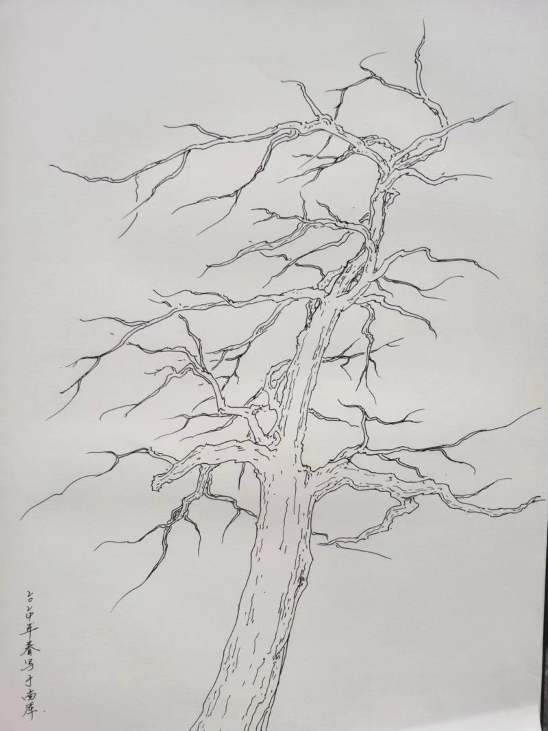 WechatIMG934.jpeg WechatIMG934.jpeg