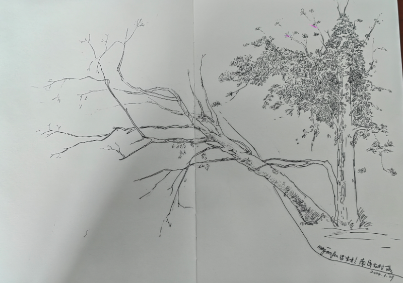 QQ20240429-102323@2x.png QQ20240429-102323@2x.png