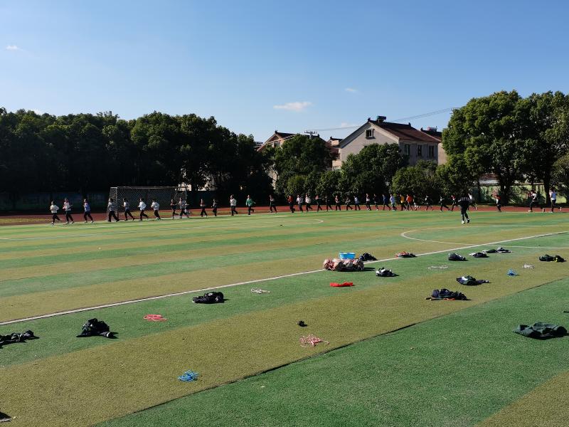 IMG_20241106_094038.jpg IMG_20241106_094038.jpg