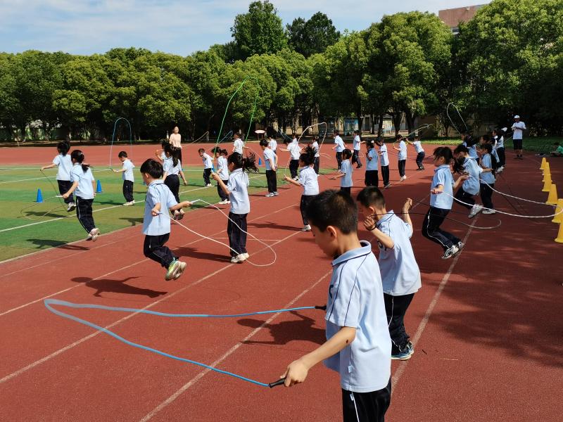 IMG_20250514_083501.jpg IMG_20250514_083501.jpg