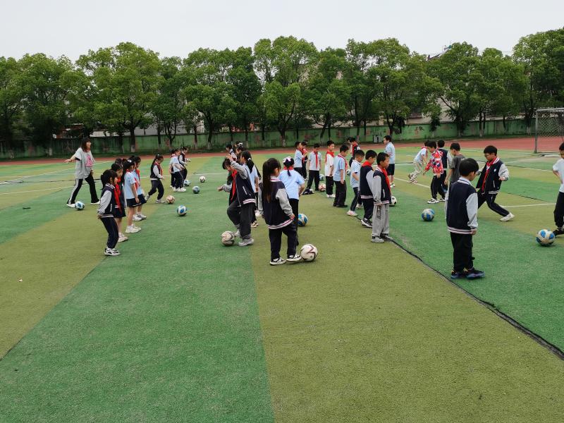 IMG_20250528_083105.jpg IMG_20250528_083105.jpg