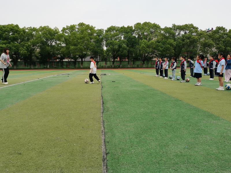 IMG_20250528_083009.jpg IMG_20250528_083009.jpg