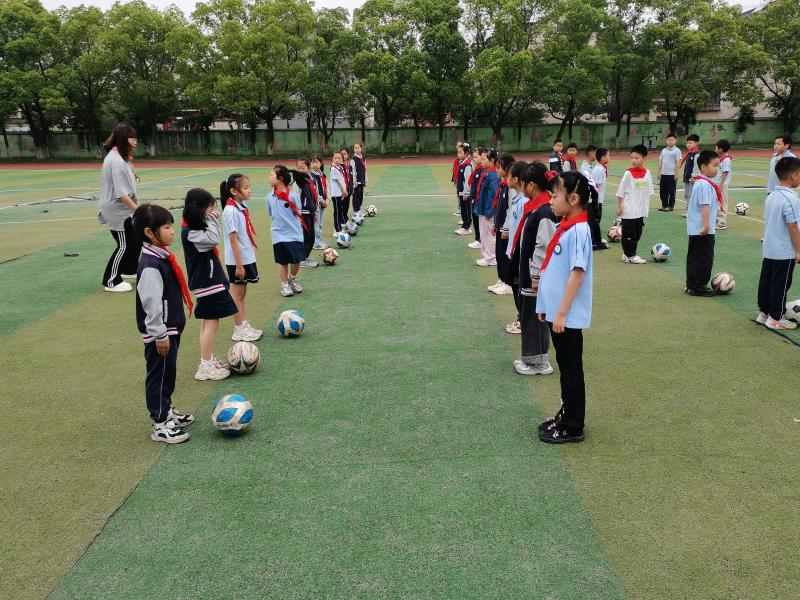 IMG_20250528_082930.jpg IMG_20250528_082930.jpg